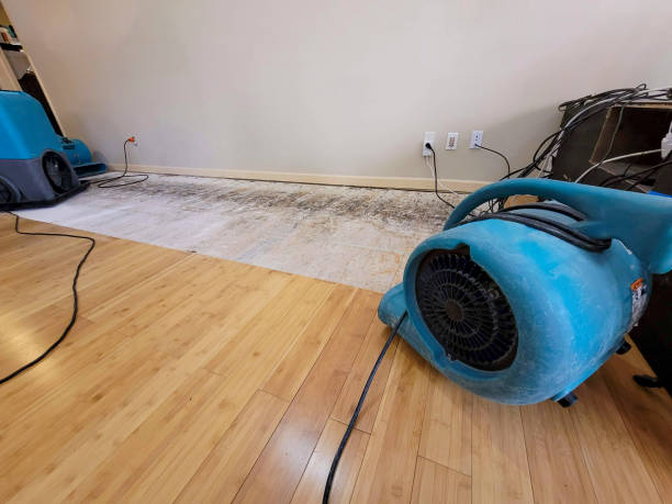 Professional Water Damage Repair technician working in Catawba, NC